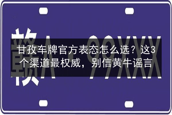 甘孜车牌官方表态怎么选？这3个渠道最权威，别信黄牛谣言 第2张