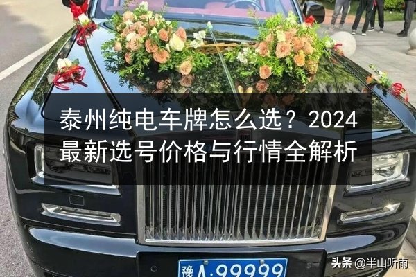 泰州纯电车牌怎么选？2024最新选号价格与行情全解析 第2张