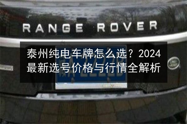 泰州纯电车牌怎么选？2024最新选号价格与行情全解析 第3张
