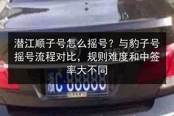 潜江顺子号怎么摇号？与豹子号摇号流程对比，规则难度和中签率大不同