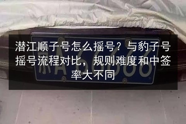 潜江顺子号怎么摇号?与豹子号摇号流程对比,规则难度和中签率大不同 第2张 潜江顺子号怎么摇号?与豹子号摇号流程对比,规则难度和中签率大不同 第2张