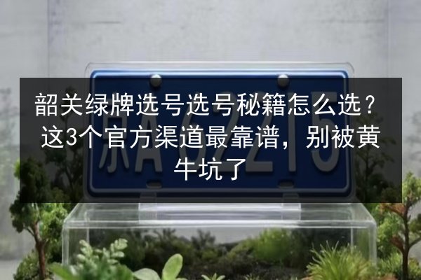 韶关绿牌选号选号秘籍怎么选?这3个官方渠道最靠谱,别被黄牛坑了 第2张 韶关绿牌选号选号秘籍怎么选?这3个官方渠道最靠谱,别被黄牛坑了 第2张