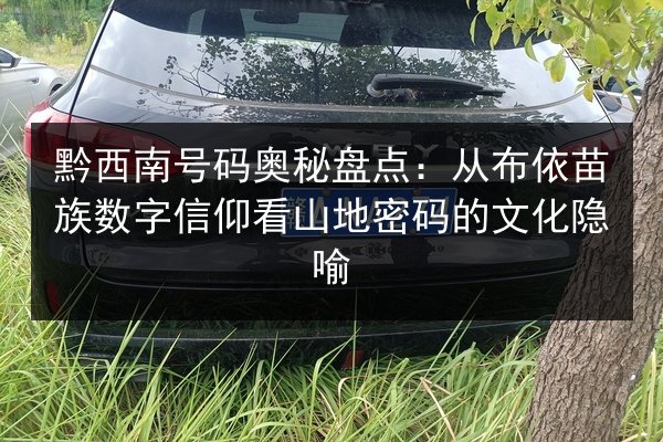 黔西南号码奥秘盘点:从布依苗族数字信仰看山地密码的文化隐喻 第2张 黔西南号码奥秘盘点:从布依苗族数字信仰看山地密码的文化隐喻 第2张
