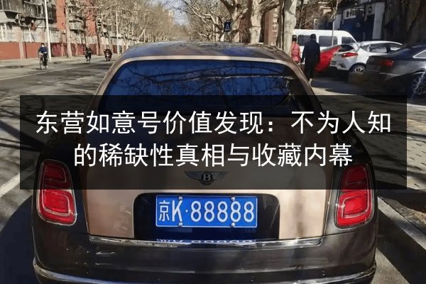 东营如意号价值发现:不为人知的稀缺性真相与收藏内幕 第2张 东营如意号价值发现:不为人知的稀缺性真相与收藏内幕 第2张