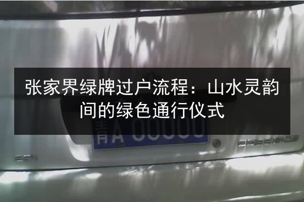 张家界绿牌过户流程：山水灵韵间的绿色通行仪式 第1张
