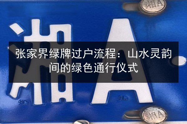 张家界绿牌过户流程：山水灵韵间的绿色通行仪式 第2张