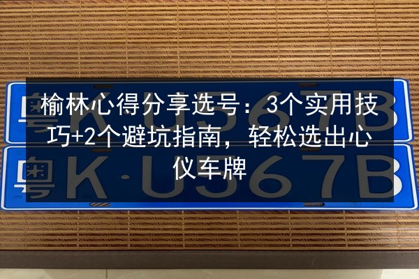 榆林心得分享选号：3个实用技巧+2个避坑指南，轻松选出心仪车牌