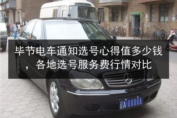 毕节电车通知选号心得值多少钱，各地选号服务费行情对比 第2张