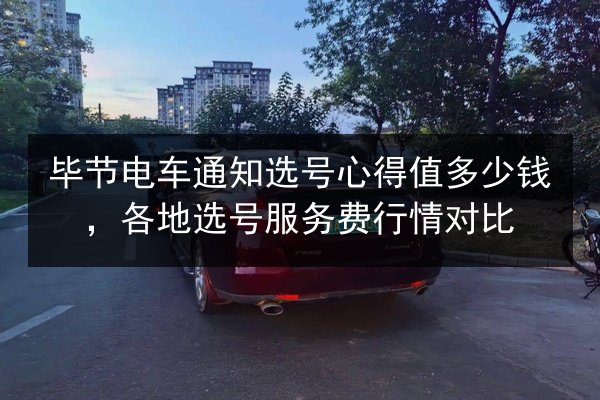 毕节电车通知选号心得值多少钱，各地选号服务费行情对比 第3张