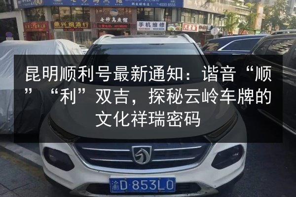 昆明顺利号最新通知：谐音“顺”“利”双吉，探秘云岭车牌的文化祥瑞密码