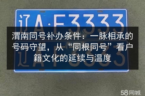 渭南同号补办条件：一脉相承的号码守望，从“同根同号”看户籍文化的延续与温度 第1张