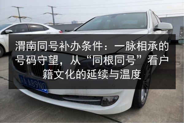渭南同号补办条件：一脉相承的号码守望，从“同根同号”看户籍文化的延续与温度 第2张