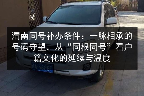 渭南同号补办条件：一脉相承的号码守望，从“同根同号”看户籍文化的延续与温度 第3张