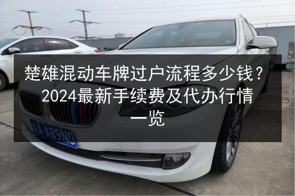 楚雄混动车牌过户流程多少钱？2024最新手续费及代办行情一览 第2张