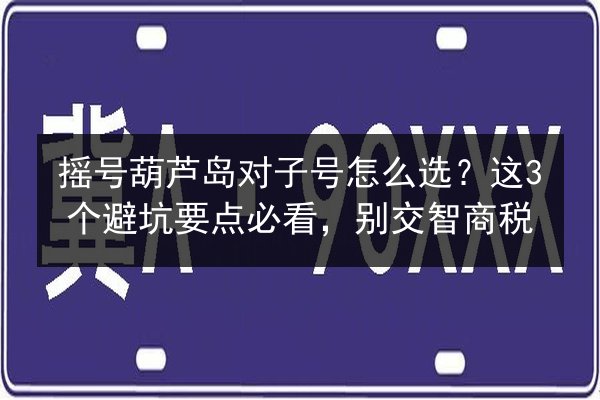 摇号葫芦岛对子号怎么选？这3个避坑要点必看，别交智商税
