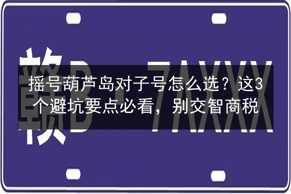 摇号葫芦岛对子号怎么选?这3个避坑要点必看,别交智商税 第2张 摇号葫芦岛对子号怎么选?这3个避坑要点必看,别交智商税 第2张