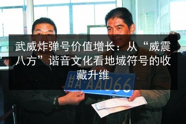 武威炸弹号价值增长:从“威震八方”谐音文化看地域符号的收藏升维 第2张 武威炸弹号价值增长:从“威震八方”谐音文化看地域符号的收藏升维 第2张
