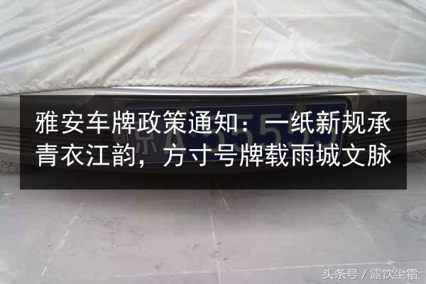 雅安车牌政策通知：一纸新规承青衣江韵，方寸号牌载雨城文脉 第2张