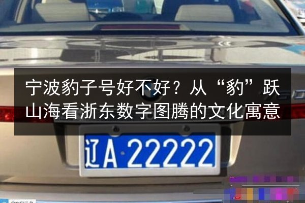 宁波豹子号好不好？从“豹”跃山海看浙东数字图腾的文化寓意 第1张