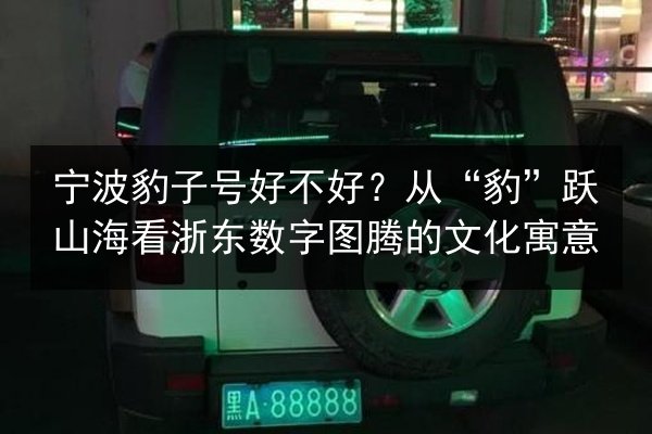 宁波豹子号好不好？从“豹”跃山海看浙东数字图腾的文化寓意 第3张