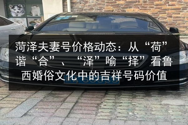菏泽夫妻号价格动态:从“荷”谐“合”、“泽”喻“择”看鲁西婚俗文化中的吉祥号码价值 第1张 菏泽夫妻号价格动态:从“荷”谐“合”、“泽”喻“择”看鲁西婚俗文化中的吉祥号码价值 第1张