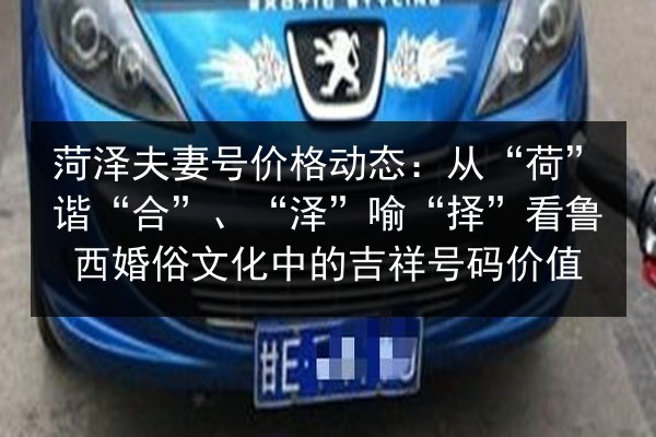 菏泽夫妻号价格动态:从“荷”谐“合”、“泽”喻“择”看鲁西婚俗文化中的吉祥号码价值 第3张 菏泽夫妻号价格动态:从“荷”谐“合”、“泽”喻“择”看鲁西婚俗文化中的吉祥号码价值 第3张