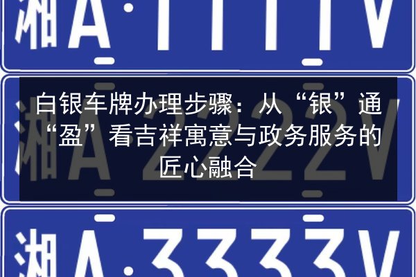 白银车牌办理步骤：从“银”通“盈”看吉祥寓意与政务服务的匠心融合 第3张