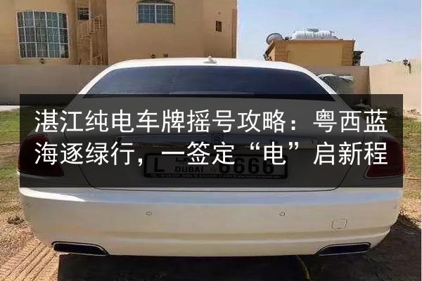 湛江纯电车牌摇号攻略：粤西蓝海逐绿行，一签定“电”启新程