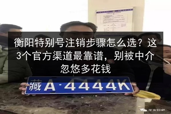 衡阳特别号注销步骤怎么选？这3个官方渠道最靠谱，别被中介忽悠多花钱 第3张