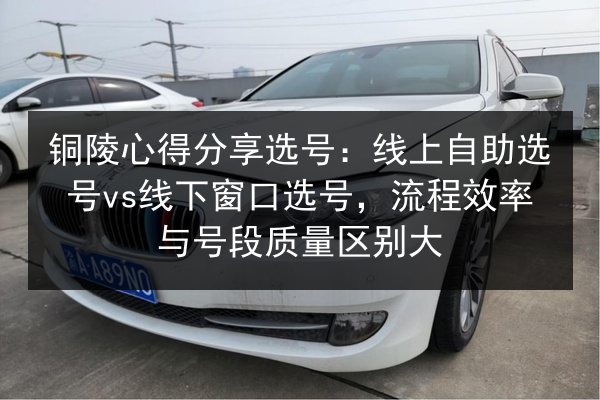 铜陵心得分享选号：线上自助选号vs线下窗口选号，流程效率与号段质量区别大 第2张