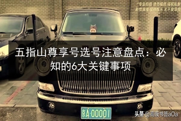 五指山尊享号选号注意盘点：必知的6大关键事项