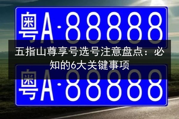 五指山尊享号选号注意盘点：必知的6大关键事项 第2张