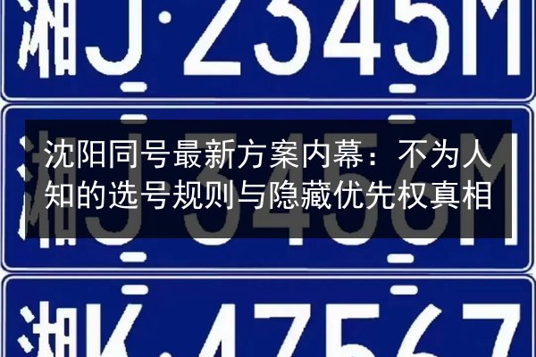 沈阳同号最新方案内幕：不为人知的选号规则与隐藏优先权真相