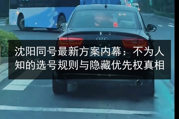 沈阳同号最新方案内幕：不为人知的选号规则与隐藏优先权真相 第3张