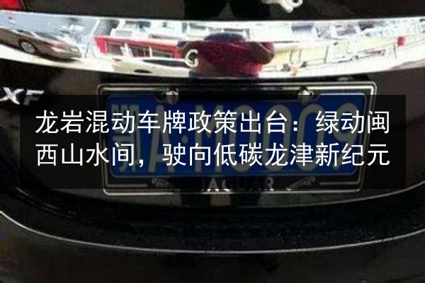 龙岩混动车牌政策出台：绿动闽西山水间，驶向低碳龙津新纪元 第1张