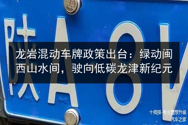 龙岩混动车牌政策出台：绿动闽西山水间，驶向低碳龙津新纪元 第2张