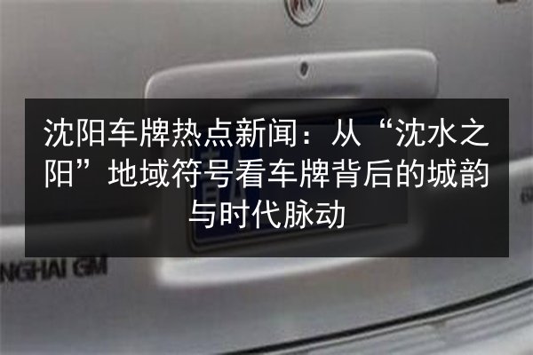 沈阳车牌热点新闻:从“沈水之阳”地域符号看车牌背后的城韵与时代脉动 第3张 沈阳车牌热点新闻:从“沈水之阳”地域符号看车牌背后的城韵与时代脉动 第3张