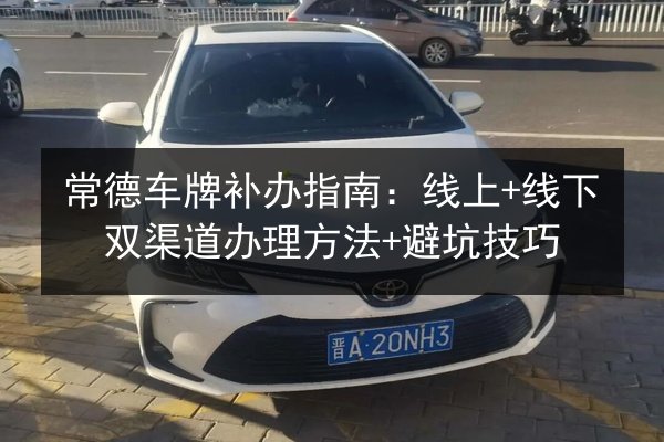 常德车牌补办指南：线上+线下双渠道办理方法+避坑技巧 第3张