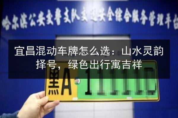 宜昌混动车牌怎么选：山水灵韵择号，绿色出行寓吉祥 第3张