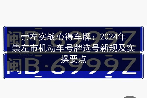 崇左实战心得车牌：2024年崇左市机动车号牌选号新规及实操要点 第2张
