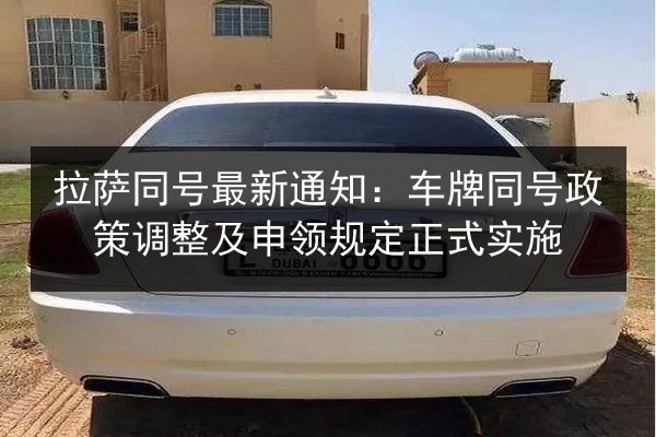 拉萨同号最新通知：车牌同号政策调整及申领规定正式实施