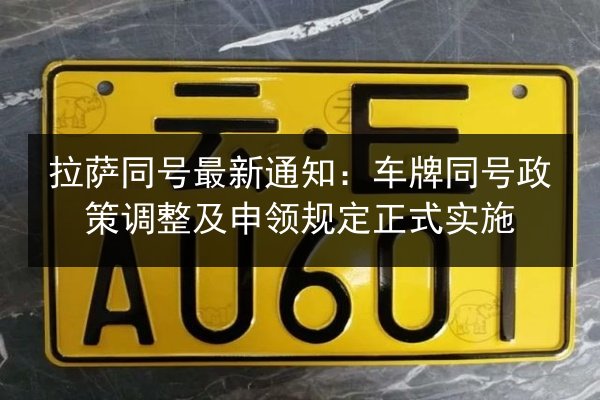 拉萨同号最新通知:车牌同号政策调整及申领规定正式实施 第2张 拉萨同号最新通知:车牌同号政策调整及申领规定正式实施 第2张
