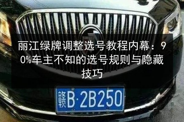 丽江绿牌调整选号教程内幕：90%车主不知的选号规则与隐藏技巧