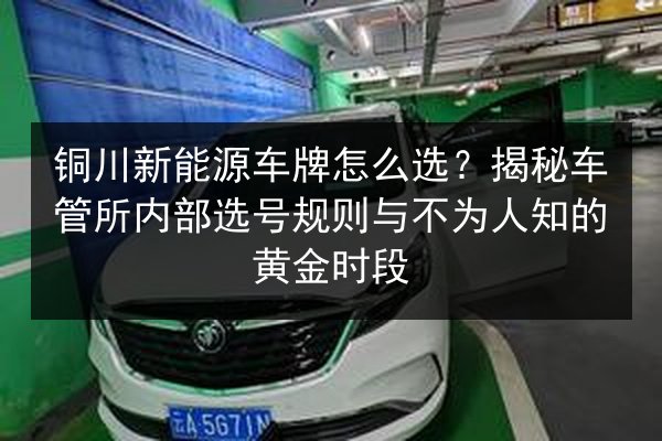 铜川新能源车牌怎么选?揭秘车管所内部选号规则与不为人知的黄金时段 第3张 铜川新能源车牌怎么选?揭秘车管所内部选号规则与不为人知的黄金时段 第3张
