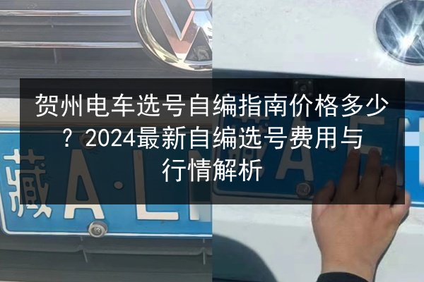 贺州电车选号自编指南价格多少？2024最新自编选号费用与行情解析