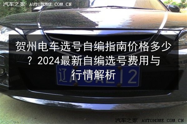 贺州电车选号自编指南价格多少?2024最新自编选号费用与行情解析 第2张 贺州电车选号自编指南价格多少?2024最新自编选号费用与行情解析 第2张