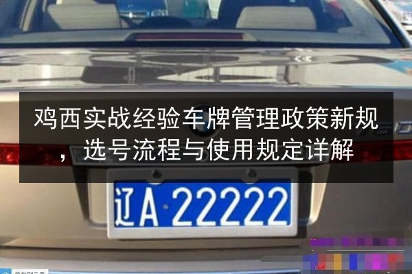 鸡西实战经验车牌管理政策新规，选号流程与使用规定详解