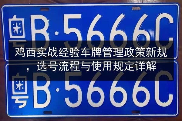 鸡西实战经验车牌管理政策新规,选号流程与使用规定详解 第2张 鸡西实战经验车牌管理政策新规,选号流程与使用规定详解 第2张