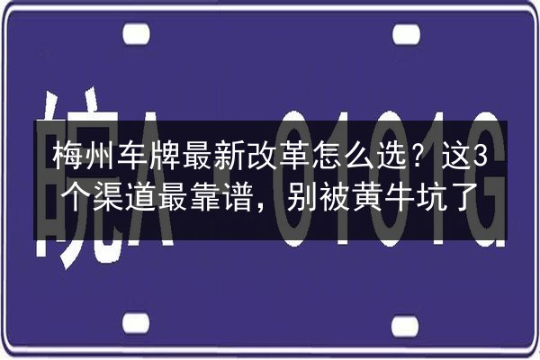 梅州车牌最新改革怎么选？这3个渠道最靠谱，别被黄牛坑了