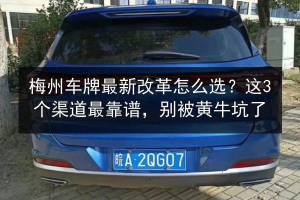 梅州车牌最新改革怎么选？这3个渠道最靠谱，别被黄牛坑了 第2张